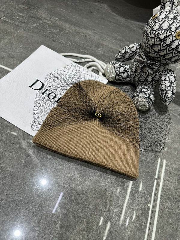 Dior Beanie ID:20260111-62